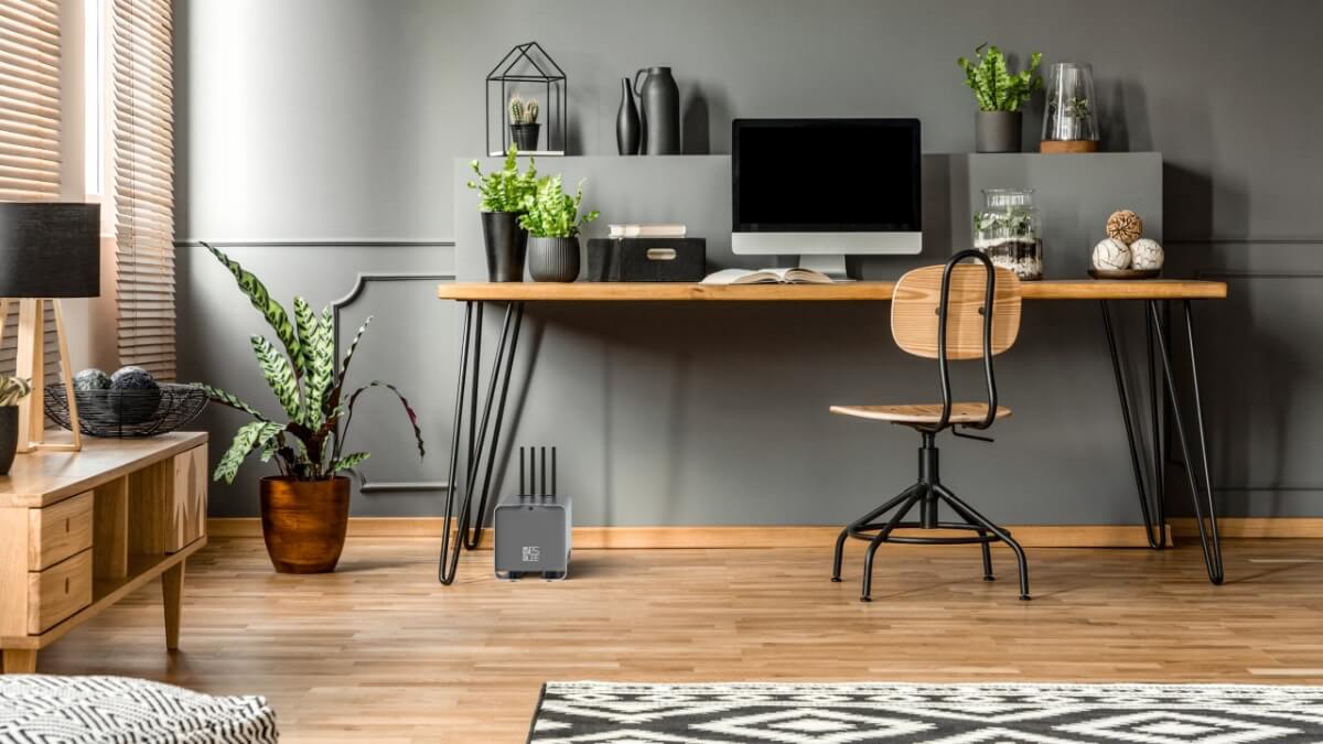 Melhores plantas para escritório (em casa ou na empresa) - Trampar Online